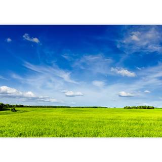 Spring blue sky wallpaper