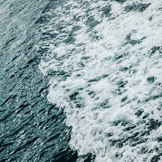 Nature simple wallpaper