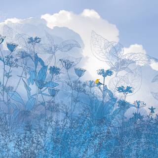 Spring blue sky wallpaper