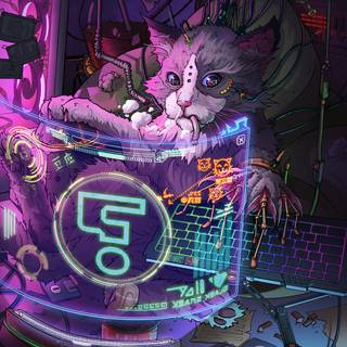 Hacker cat wallpaper