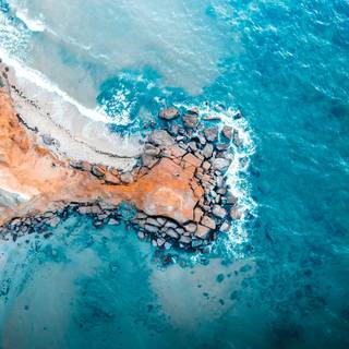 Masterpieces wallpaper