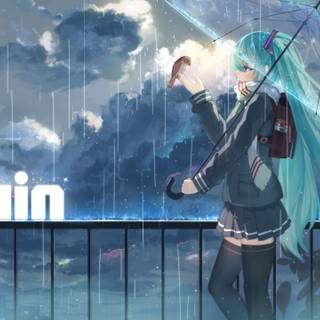 Anime girl in the rain wallpaper