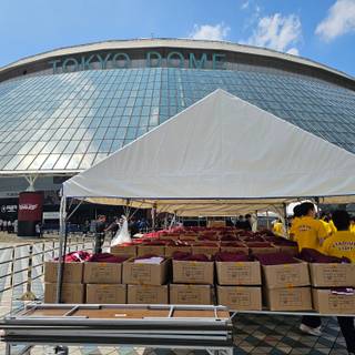 Tokyo Dome wallpaper