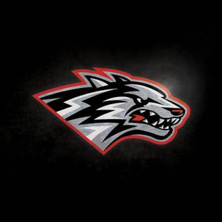 New Mexico Lobos wallpaper