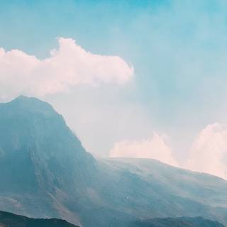 Nature simple wallpaper