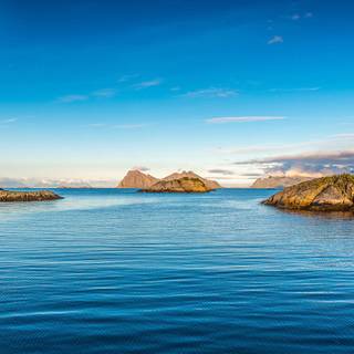 Nature simple wallpaper