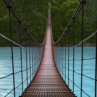 Nature simple wallpaper