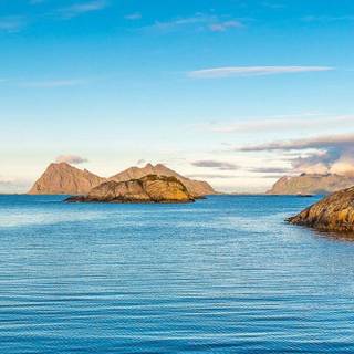 Nature simple wallpaper