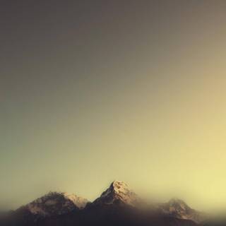 Nature simple wallpaper