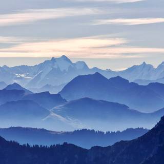 Nature simple wallpaper