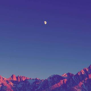 Nature simple wallpaper