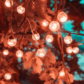 iPhone lamp wallpaper