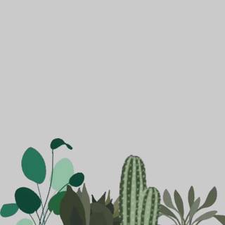 Boho plants wallpaper