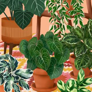 Boho plants wallpaper