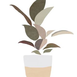 Boho plants wallpaper