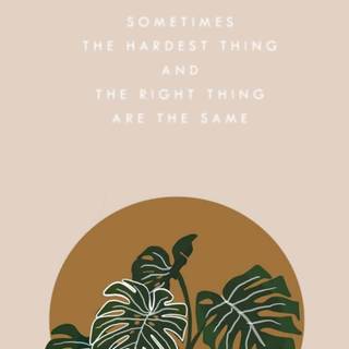 Boho plants wallpaper