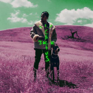 Travis Scott PC 4k wallpaper