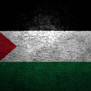 Palestine flag 4k wallpaper