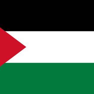 Palestine flag 4k wallpaper