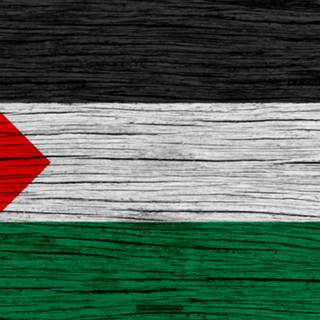 Palestine flag 4k wallpaper