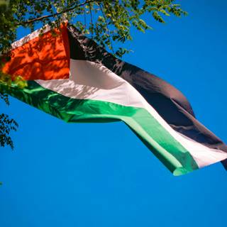 Palestine flag 4k wallpaper