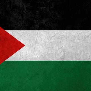 Palestine flag 4k wallpaper