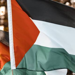 Palestine flag 4k wallpaper
