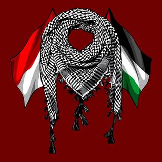 Free Palestine iPhone wallpaper