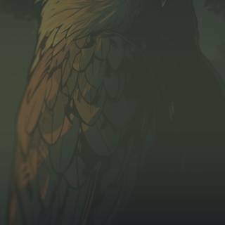 Aesthetic iPhone black wallpaper