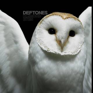 Deftones iPhone wallpaper