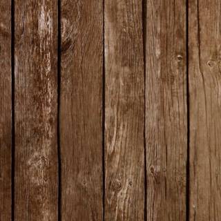 iPhone woods wallpaper