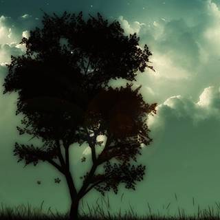 Phone tree wallpaper