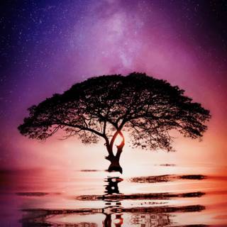 Phone tree wallpaper