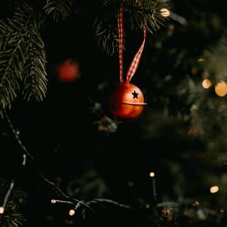 Phone tree wallpaper