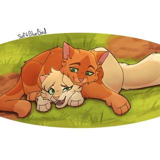 Firestar and Sandstorm wallpaper