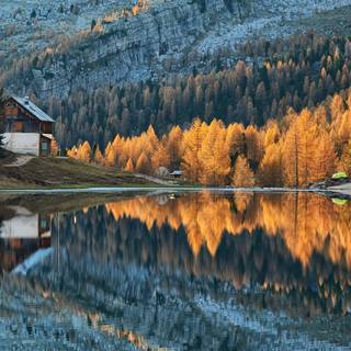 Fall cabin wallpaper