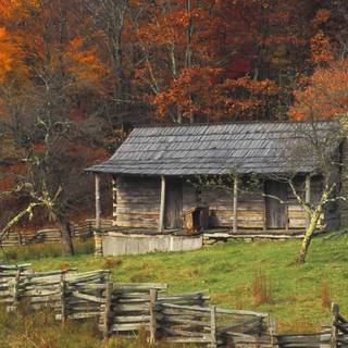 Fall cabin wallpaper