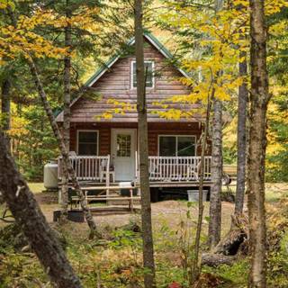Fall cabin wallpaper