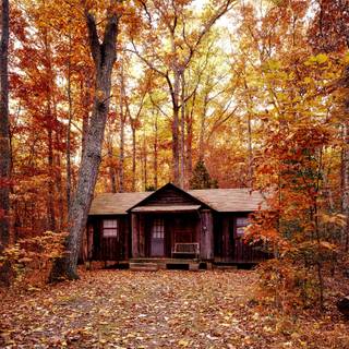 Fall cabin wallpaper