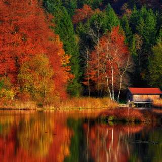 Fall cabin wallpaper