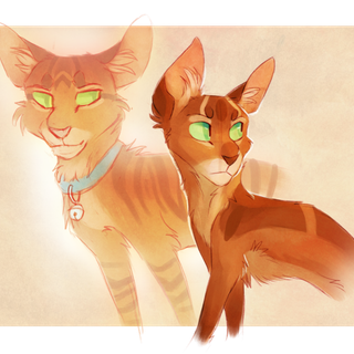 Firestar and Sandstorm wallpaper