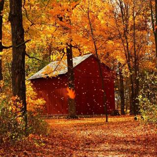 Fall cabin wallpaper