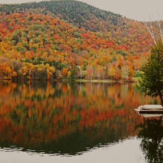Fall cabin wallpaper