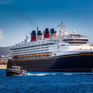 Disney Dream wallpaper