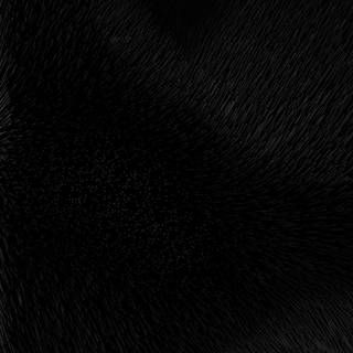 Solid dark wallpaper