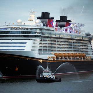 Disney Dream wallpaper
