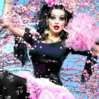 Nina Hagen wallpaper