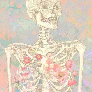 Skeleton flower wallpaper