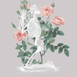 Skeleton flower wallpaper