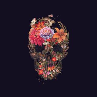 Skeleton flower wallpaper